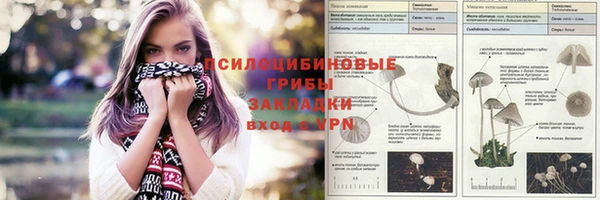 2c-b Мегион