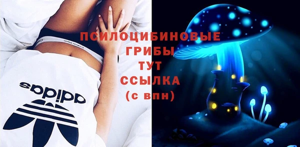 2c-b Мегион