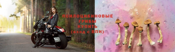 винт Медногорск