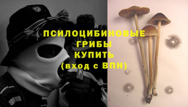 ешки Нижний Тагил