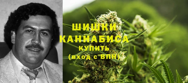 2c-b Мегион