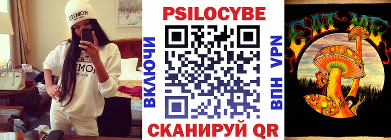 Псилоцибиновые грибы Psilocybe  Пермь 