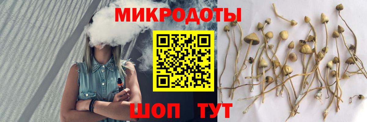 Галлюциногенные грибы Psilocybine cubensis  Вход с VPN  Пермь  Галлюциногенные грибы Cubensis 